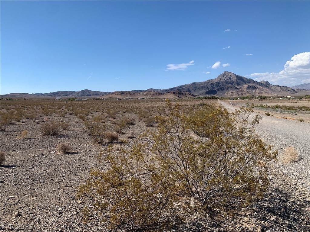 1. Land at 4750 W Mesquite Avenue Pahrump, Nevada 89060 United States