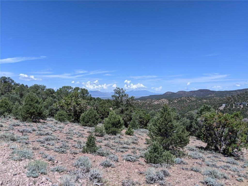 Terrain pour l Vente à Pinion Pine Road Pioche, Nevada 89043 États-Unis