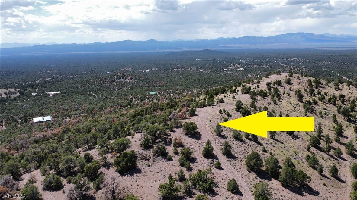 Terrain pour l Vente à Pinion Pine (5 Acres) Pioche, Nevada 89043 États-Unis
