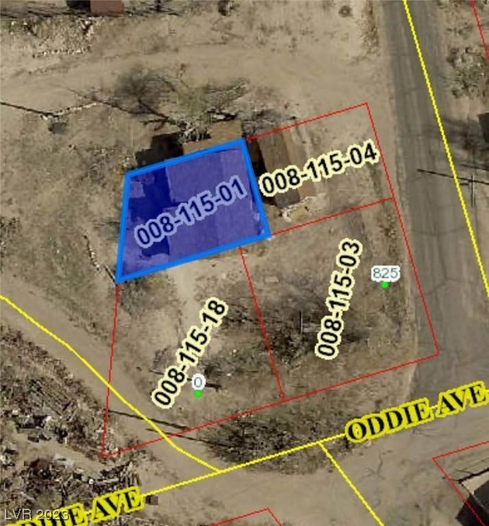 Land at Oddie Street Tonopah, Nevada 89049 United States