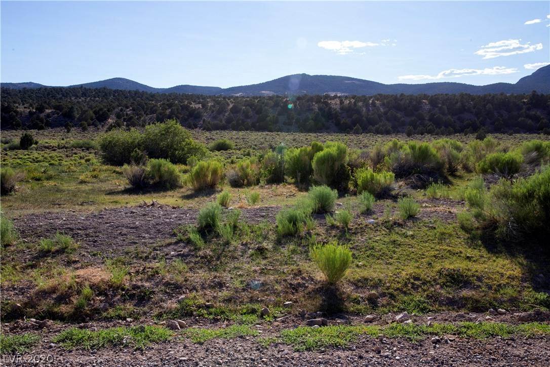 Terreno por un Venta en Duck Creek Development Ely, Nevada 89301 Estados Unidos