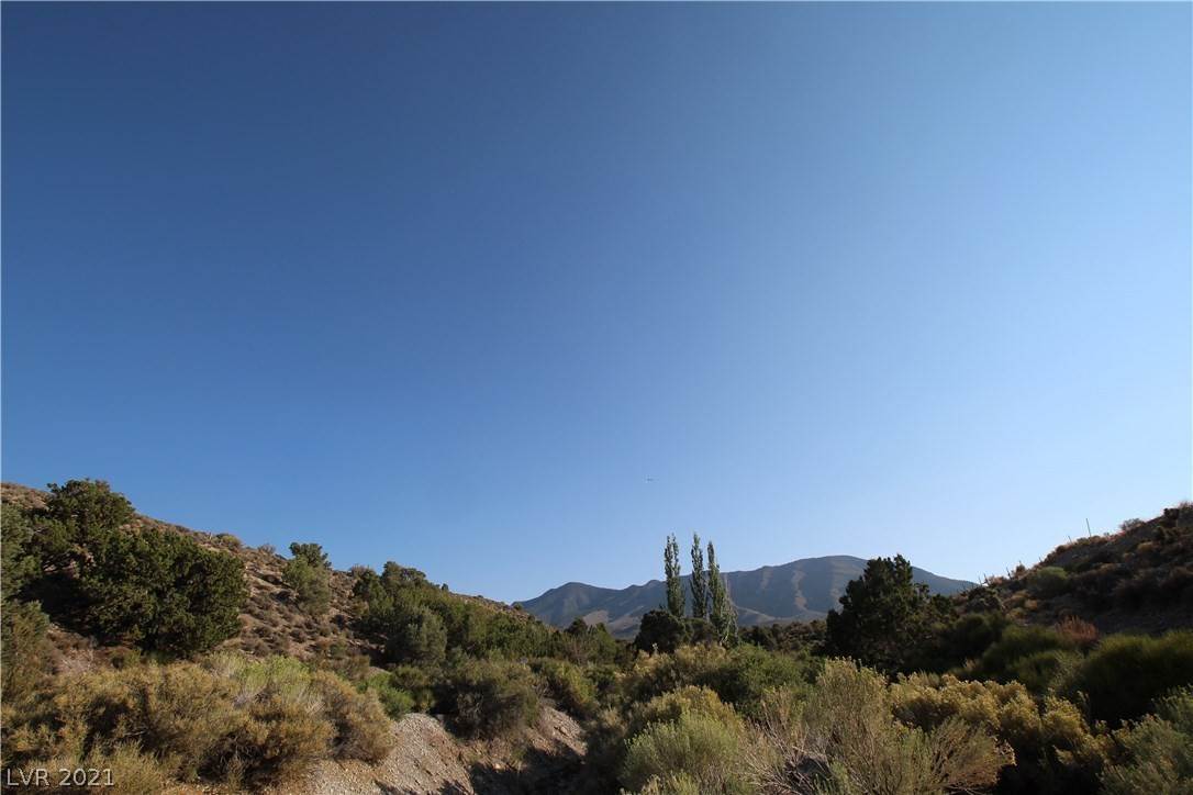 Land for Sale at APN#092-36-601-003/Angeline Cold Creek, Nevada 89124 United States