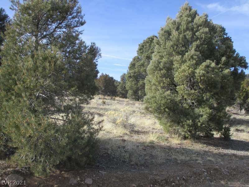 Land for Sale at NV Hwy 322-13.753 Acres Ursine, Nevada 89043 United States