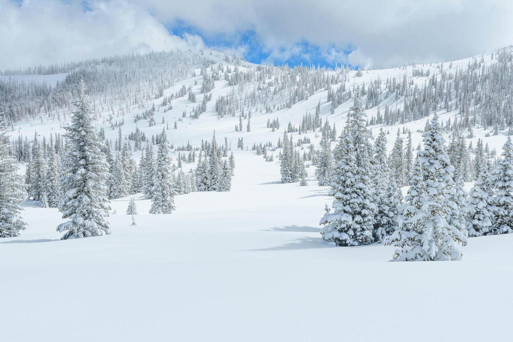 Land for Sale at Beautiful New Ski-In/Ski-Out Community In Brian Head Aspen Meadows, Lot 33 Brian Head, Utah 84719 United States